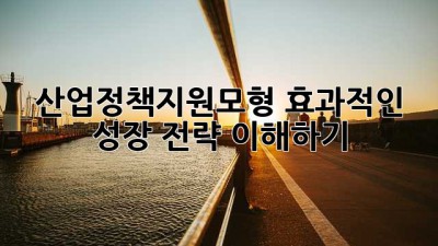 산업정책지원모형: 효과적인 성장 전략 이해하기