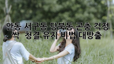 안동 서구동, 당북동, 곤충 걱정 싹! ✨ 청결 유지 비법 대방출!