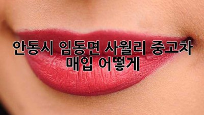 안동시 임동면 사월리 중고차 매입, 어떻게?