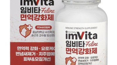 😻 출산한 냥이 건강 듬뿍! 슈퍼 맘을 위한 영양식 추천